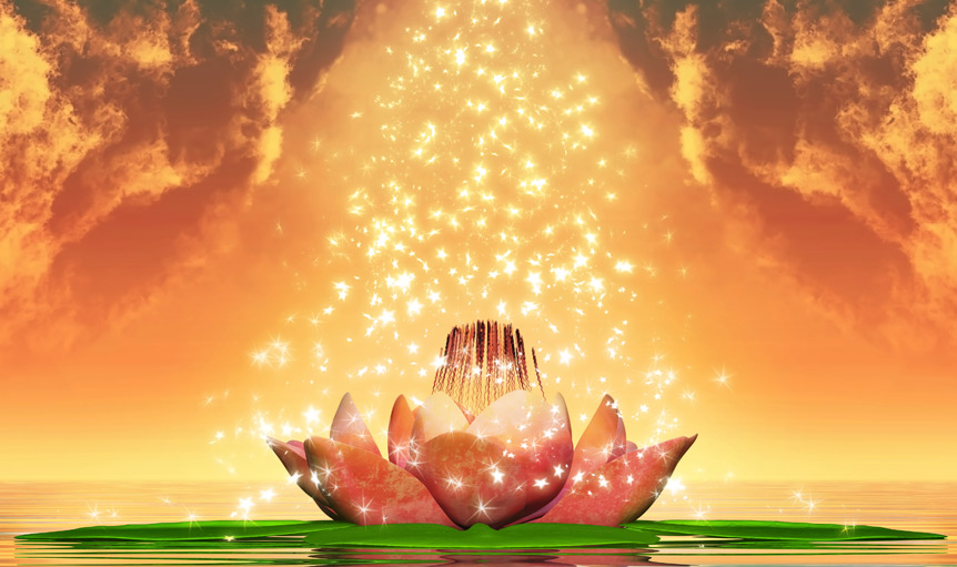 lily pad steven Layne Taylor Live in Divine Flow