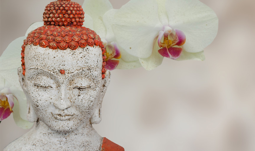 Terah Collins statue flower Buddha feng shui