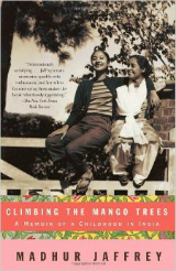 climbingmangotrees