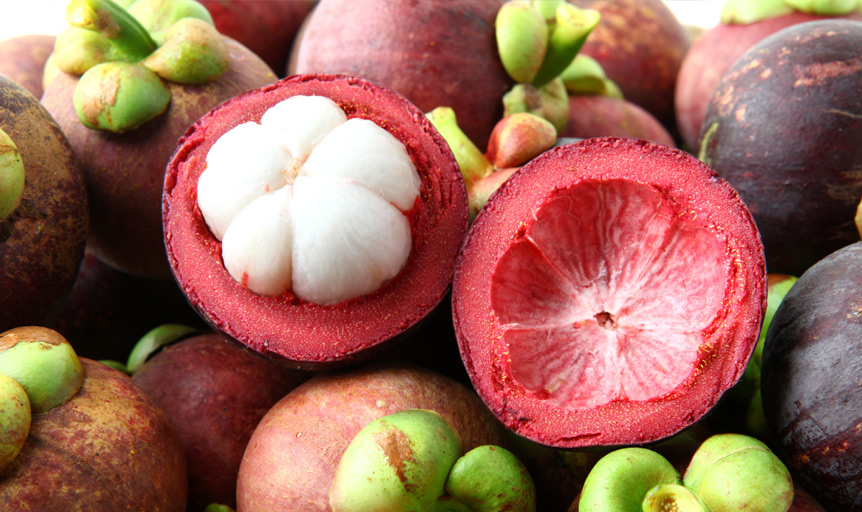 garcinia sherry erickson savesta