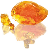 Nexira acacia gum inset portrait