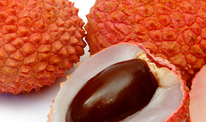 Oligonol lychee nut orange science Maypro