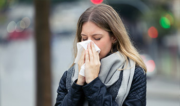Pycnogenol Lamm blow nose immune system 