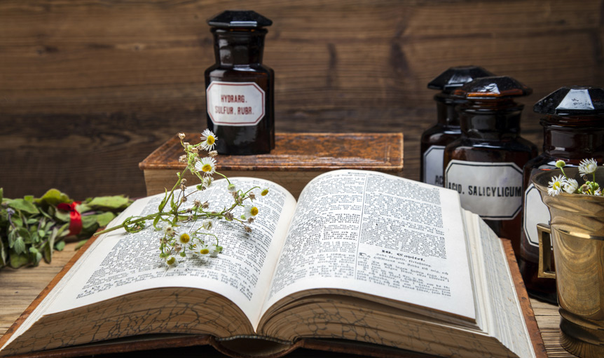 Cass Ingram Oregano Immune Wealth & Wisdom