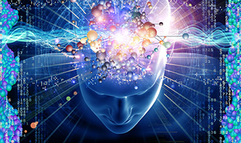 Pycnogenol brain fog small