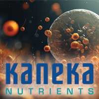Kaneka Ubiquinol
